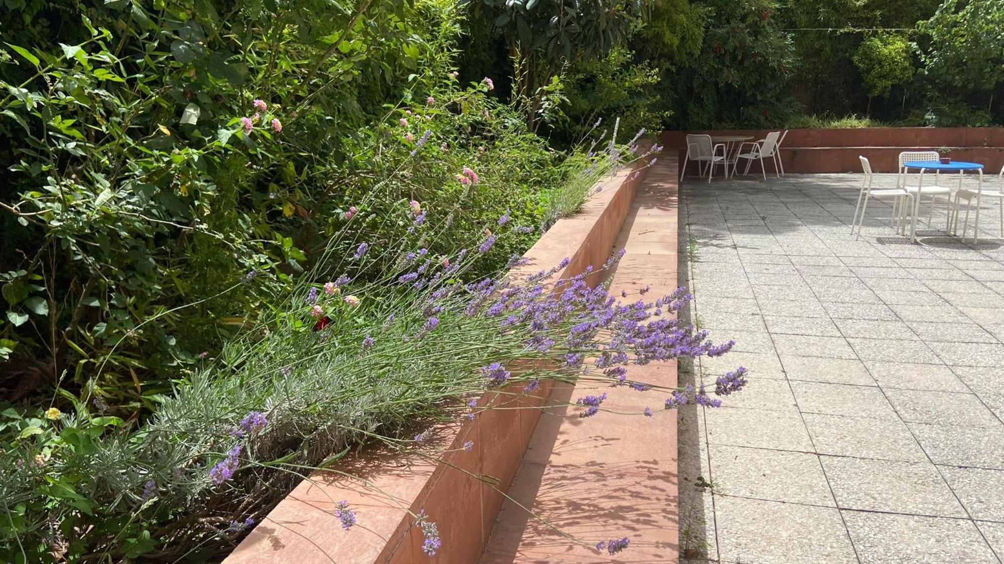 Residencia Universitaria Pare Claret Girona Exterior foto